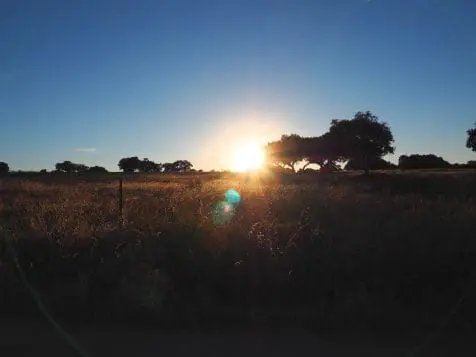 Extremadura, destino de excepción para los amantes de la naturaleza y el senderismo