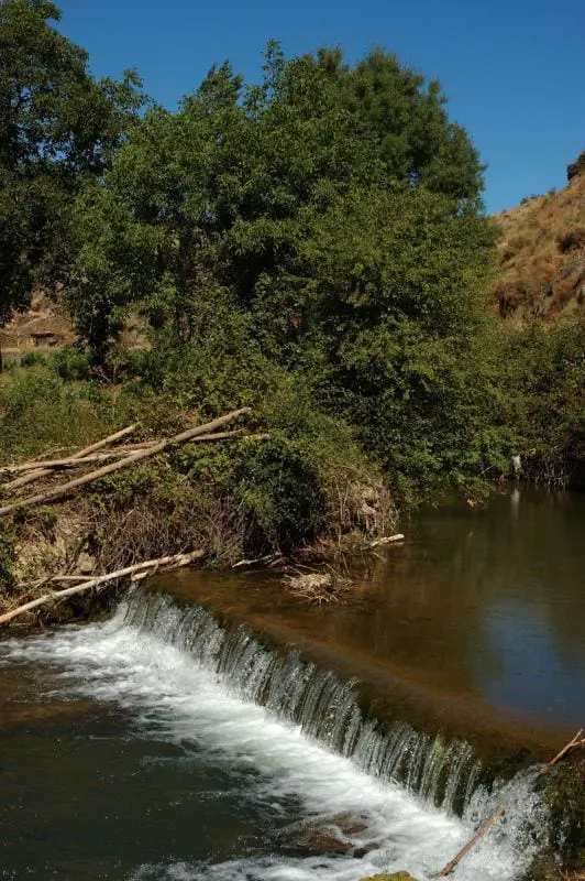 Soto Fluvial del río Huerva, en Cerveruela