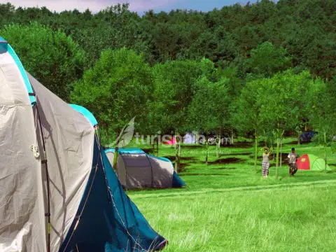 Camping  Pígalo