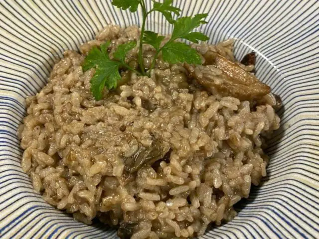 Aragonia Taberna