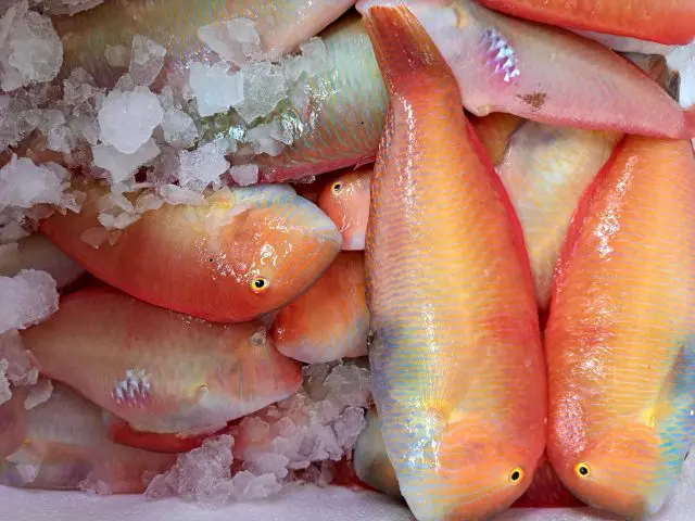Pescados y Mariscos Davinia