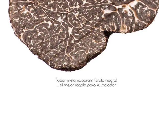 Trufa Negra de Teruel