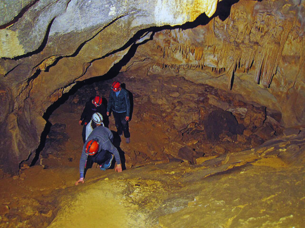 Red de Cuevas del Alto Asón