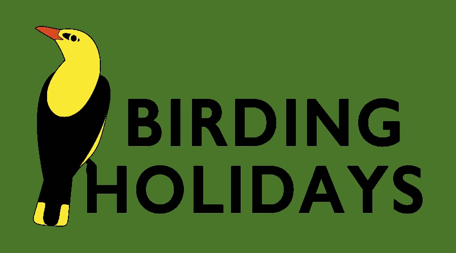 Birding Holidays