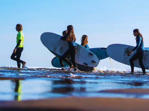 La Salbaje Surf