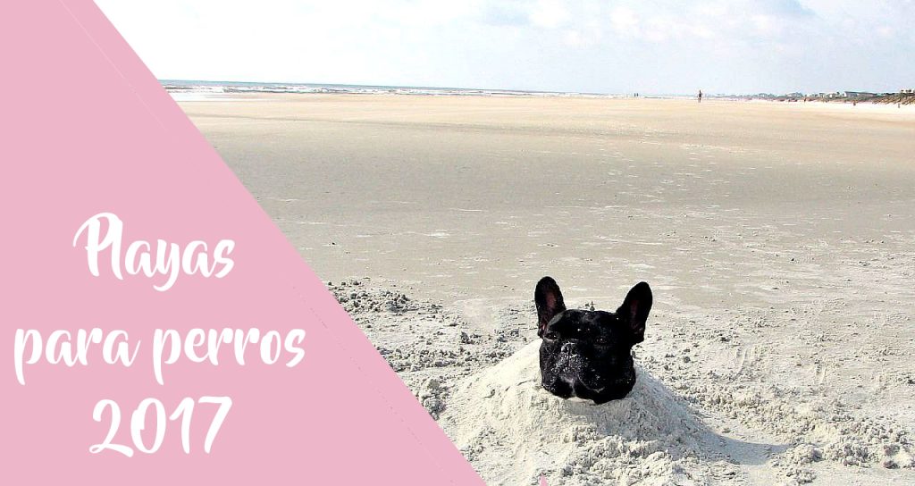 Comunicado playas aptas para mascotas publicadas en la Guía Viajando con Mi Mascota 2017