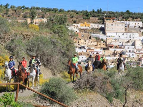 Centro Ecuestre El Serbal