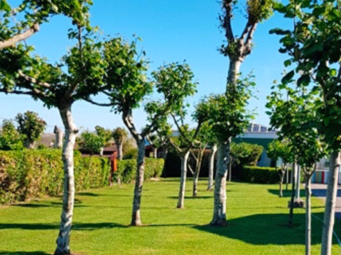 Camping Virgen del Mar