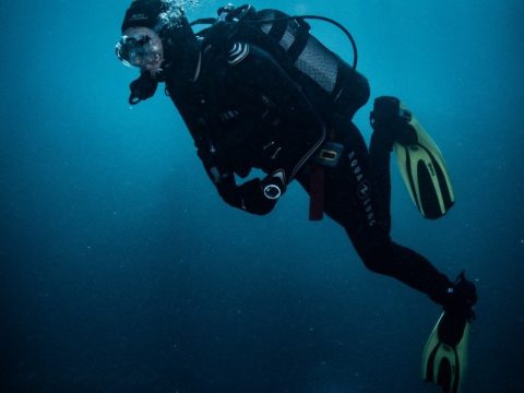 Dive Academy