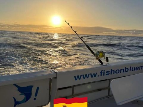 Fish On