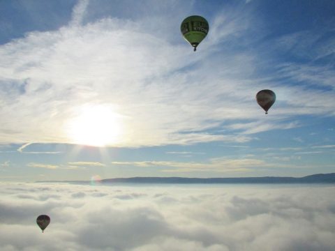 Globos La Rioja