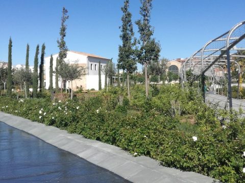 Parque Central
