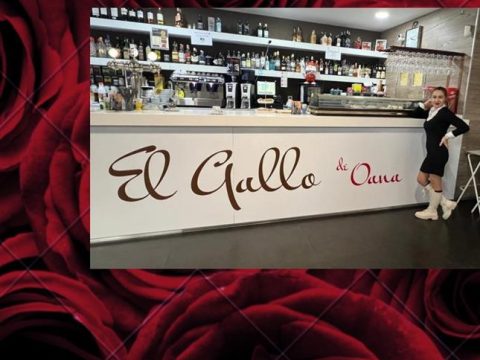 Bar Gallo de Oro