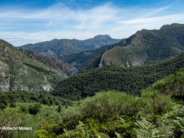 Parque Natural de Redes