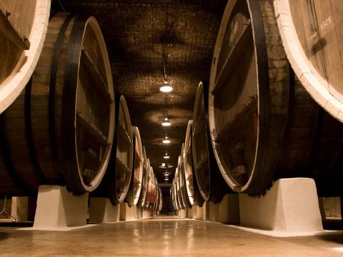 Bodega Finca Loranque