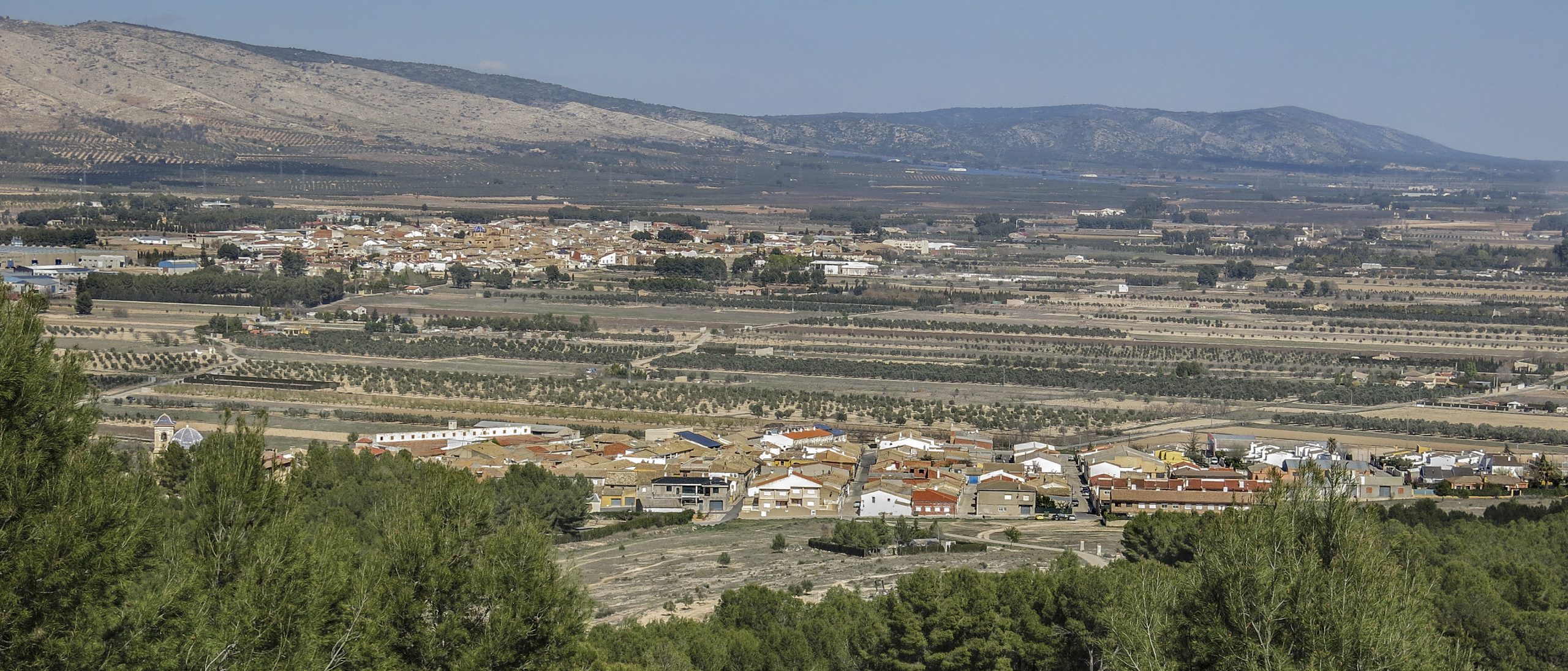 Campo de Mirra