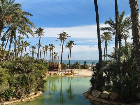 Parque El Palmeral