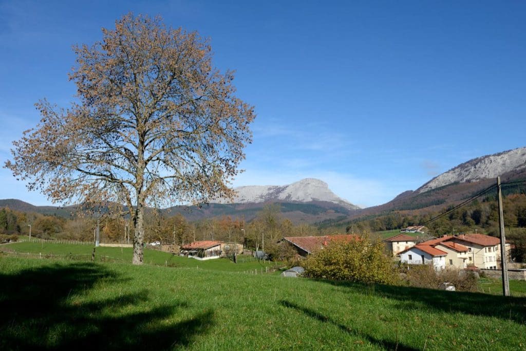 Aramaio